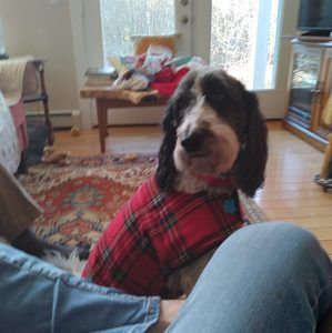 Meet your Posher, Phyllis